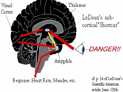 Reactive brain in danger
